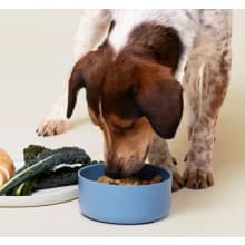 Product image of Ollie dog food
