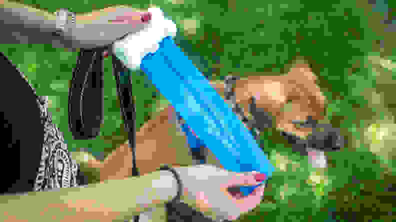 Gorilla Supply Pet Poop Bags