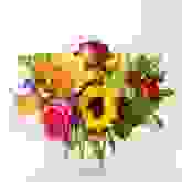 Product image of FTD
