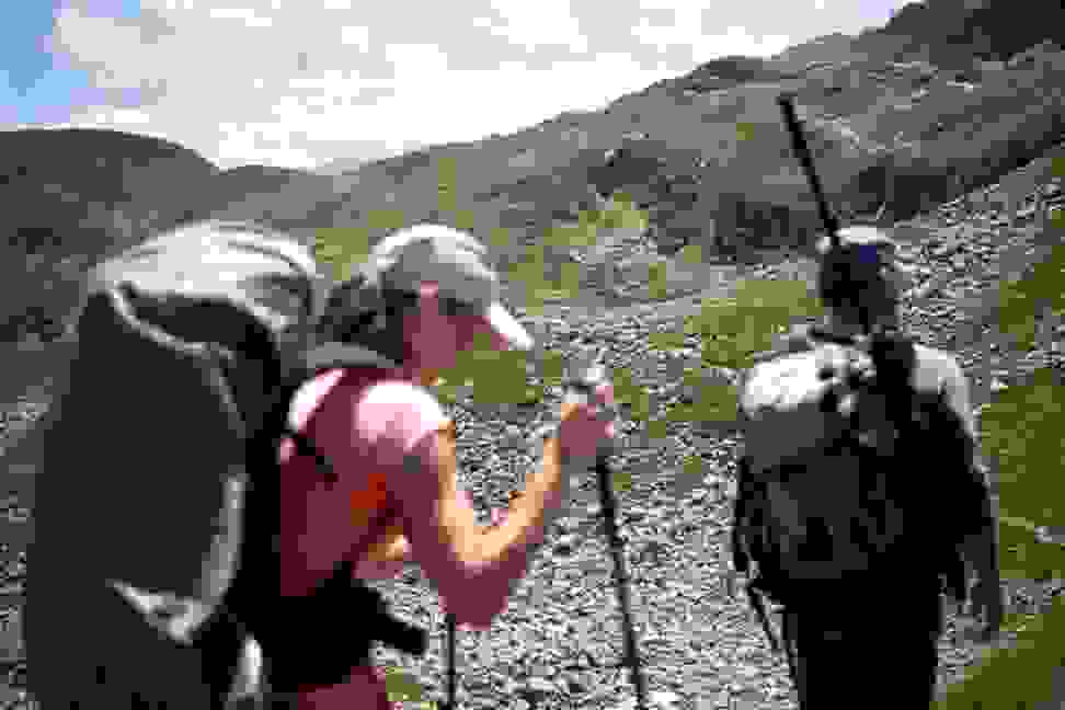 A pair of hikers in baseball caps explore nature beneath a cloudy blue sky.