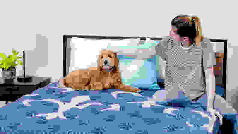 A person and a dog sitting on the Stearns & Foster mattress.