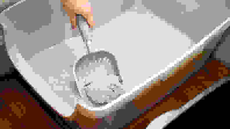 Clumped urine is scooped out of cat litter