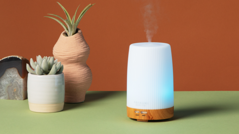 Asakuki essential oil diffuser on a table near some potted succulents.