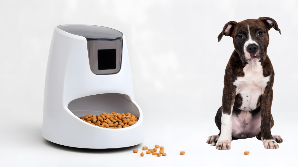 A pet feeder with a dog next to it