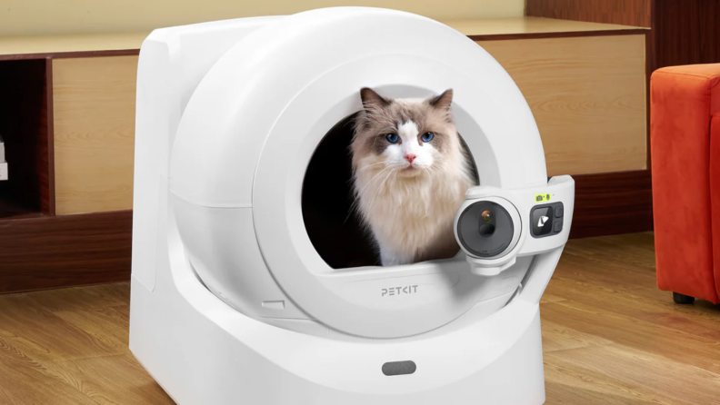 A cat inside a round smart litter box